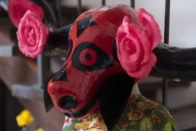 Museu das Cavalhadas