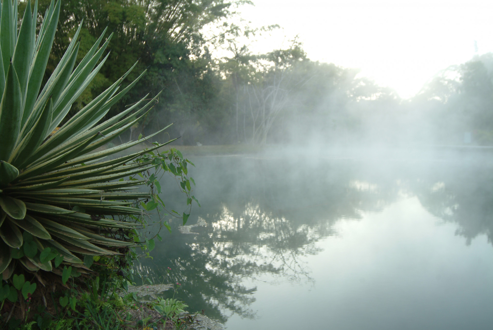  Lagoa do Pirapitinga