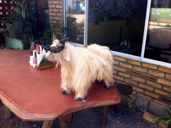 Bar E Restaurante Buritis