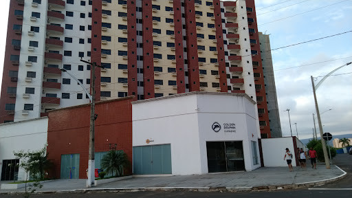 Golden Dolphin Supreme