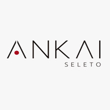 Ankai Seleto